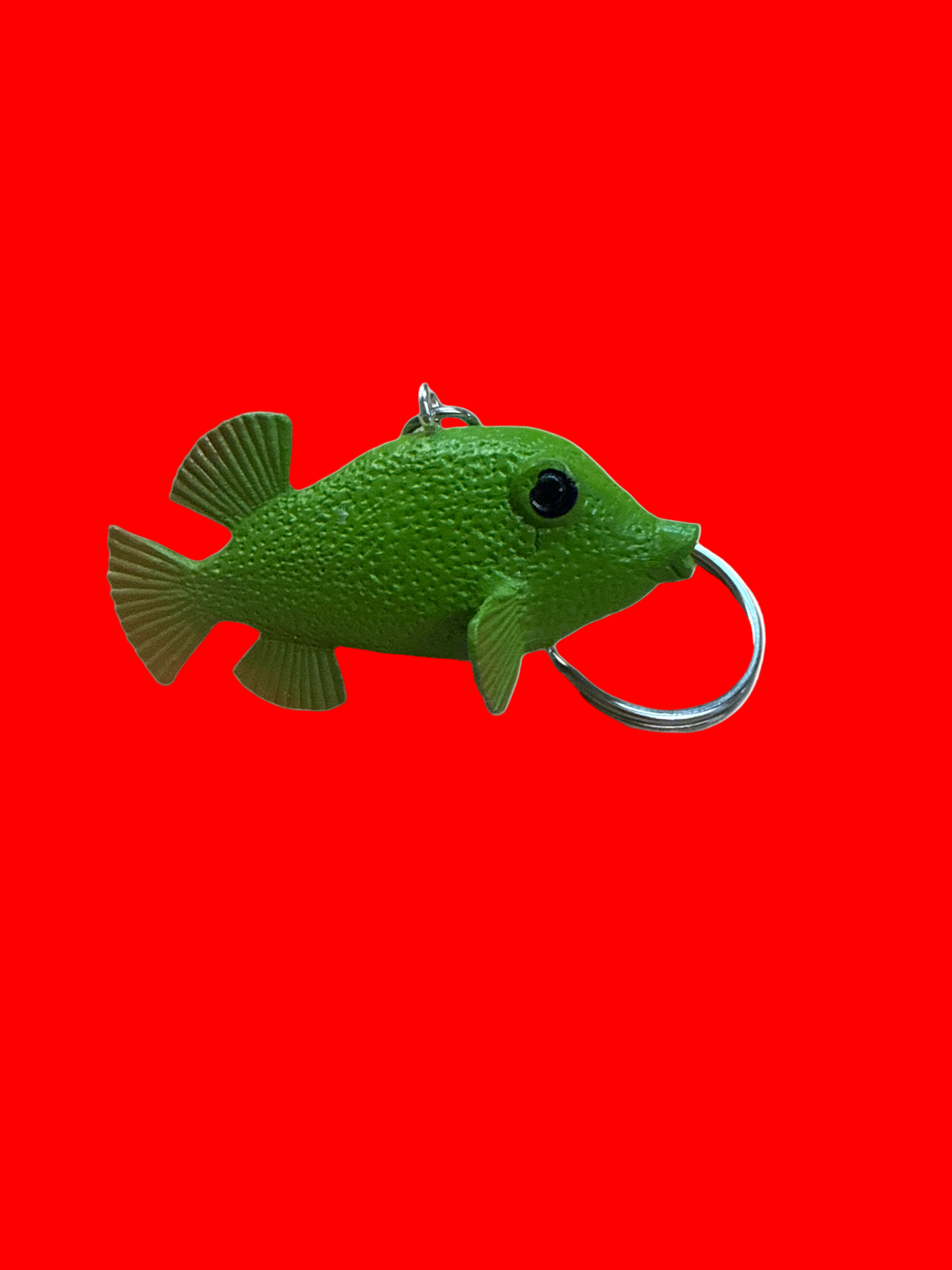 Green fish-shaped keychain on a red background